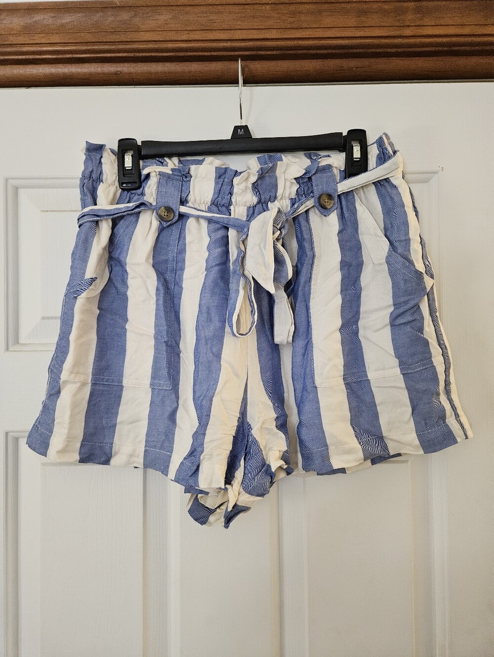 American Eagle Outfitters Blue & White Striped Paperbag Waist Shorts L